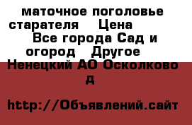 маточное поголовье старателя  › Цена ­ 3 700 - Все города Сад и огород » Другое   . Ненецкий АО,Осколково д.